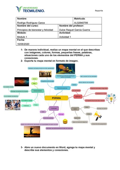 Actividad 1 Principios de bienestar y felicidad Psicología Positiva