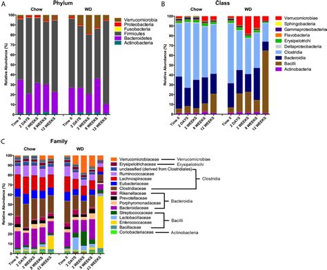 Diversity Of Microbial Metabolism