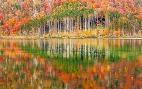 Wallpaper Trees Landscape Colorful Forest Fall Mountains Lake