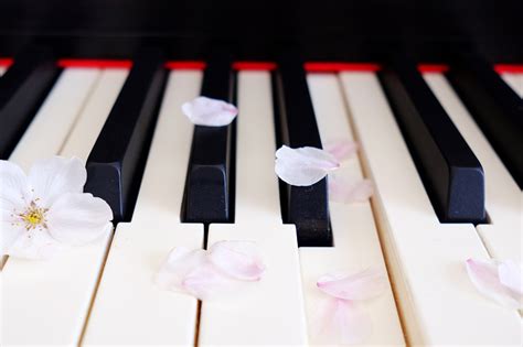 春ピアノを始めてみませんか 音楽サロン アンコール ピアノ教室