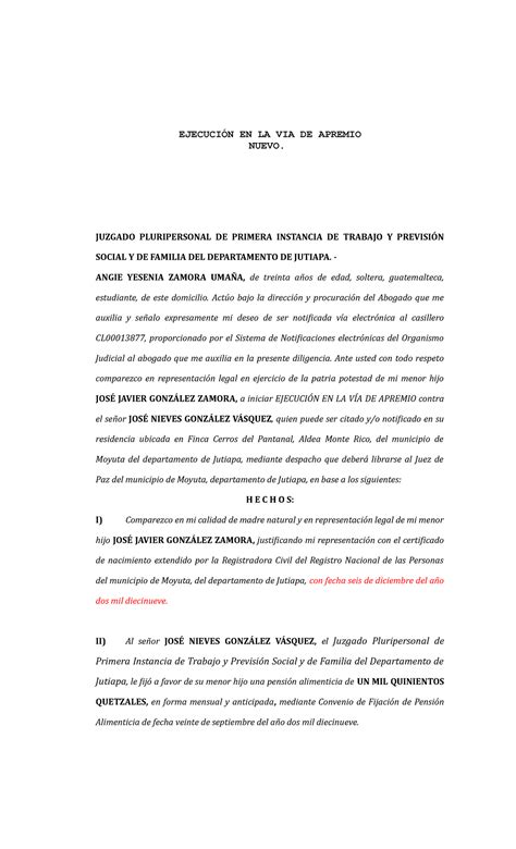 Juicio Ejecutivo EN LA VIA DE APREMIO EJECUCIÓN EN LA VIA DE APREMIO