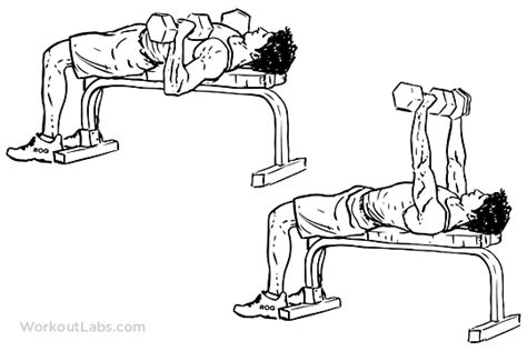 Dumbbell Flat Bench Press | WorkoutLabs