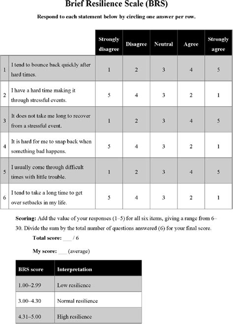 Brief Resilience Scale BRS Adapted From Smith Et Al 2008