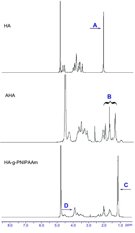 1 H Nmr Spectra Of Ha And Aha And Ha G Pnipaam In D 2 O A Was Download Scientific Diagram