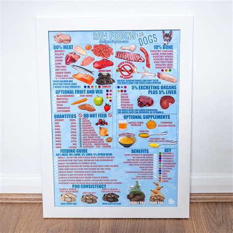 Poster – Raw Feeding Dogs – in a Nutshell | Designed by Boo