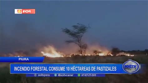 Piura incendio forestal consume 10 hectáreas de pastizales SOLTV PERU