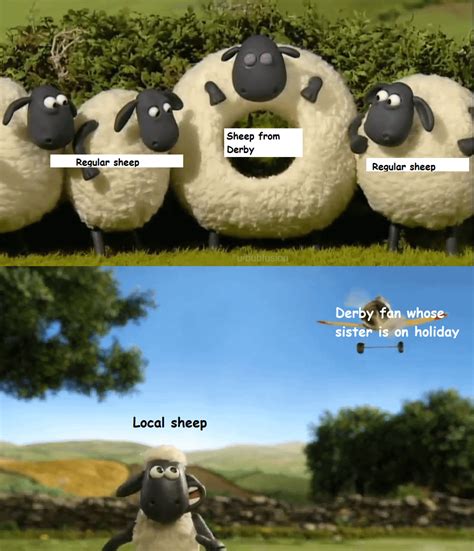 Shaun the Sheep memes are getting popular, making it all too easy really : r/nffc