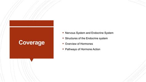 Introduction To The Endocrine System Pptx Free Download