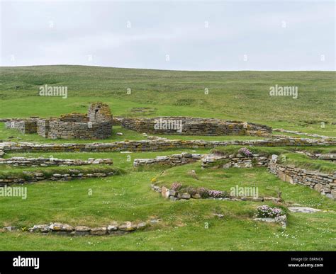 brough  birsay   ruins   pictish  viking settlement