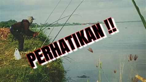 BARU DILEMPAR LANGSUNG NYOT MANCING BELANAK UNTUK BUKA PUASA Fishing