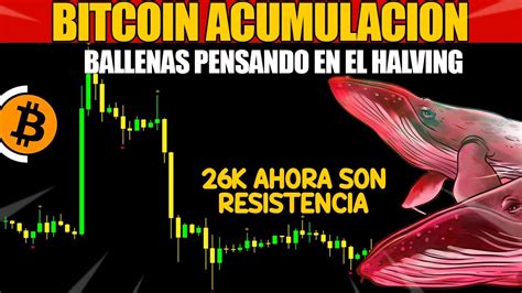 Bitcoin Acumulacion De Ballenas Para El Halving Pronostico Bitcoin