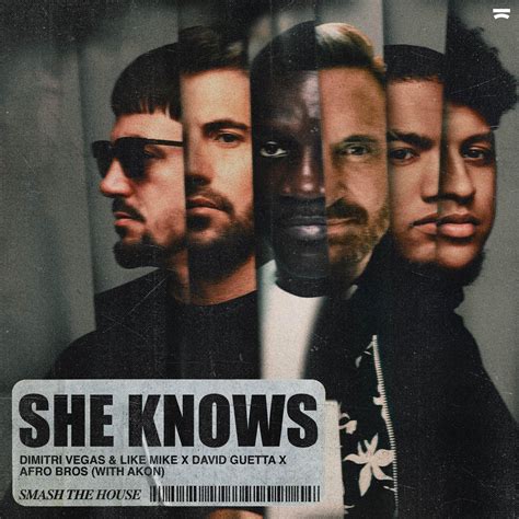 She Knows_Dimitri Vegas & Like Mike、David Guetta、Afro Bros、Akon_高音质在线试听