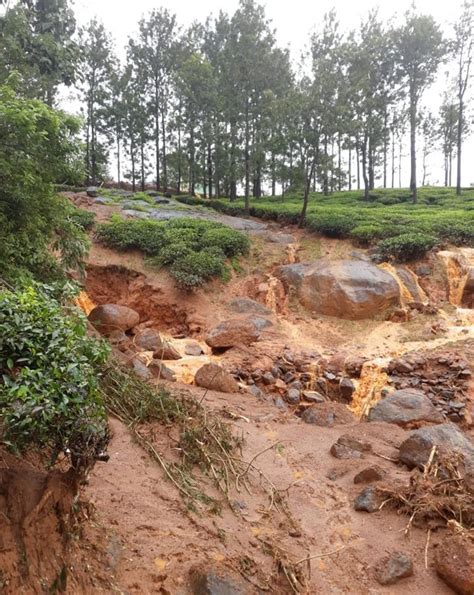 Kerala Rains Wayanad District Isolated Due To Landslide Photogallery