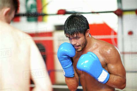 Two Boxers Sparring In Boxing Ring Stock Photo Dissolve