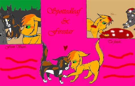 From start to Finish, Spottedleaf X Firestar by Cardinalpaw on DeviantArt