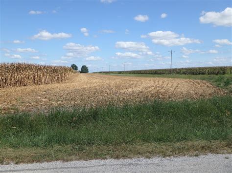 Observations in Agriculture: Corn Harvest