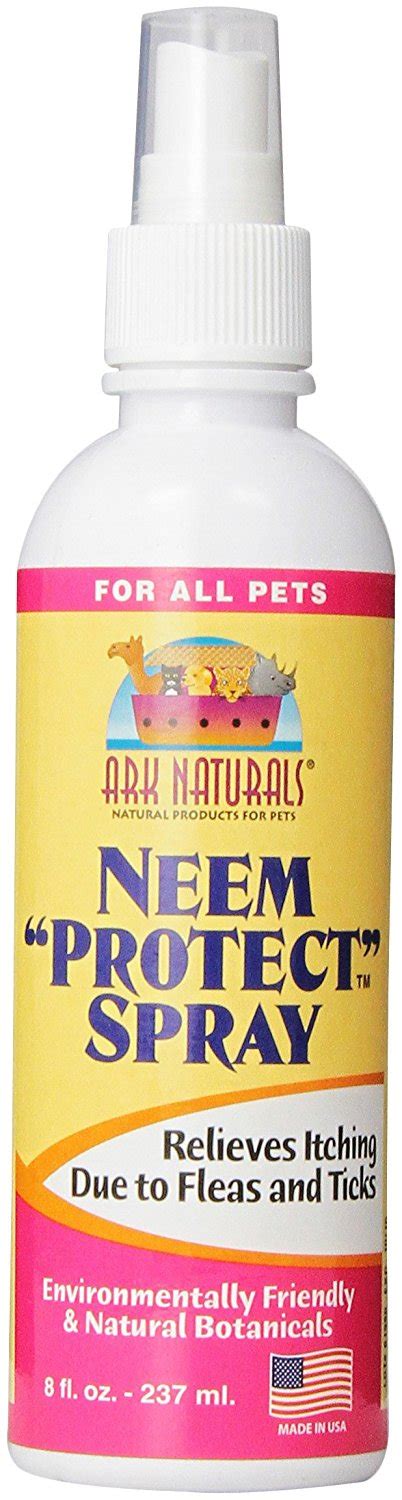 Best Flea Repellent for Humans: 5 Perfect Ways to Prevent Flea Bites