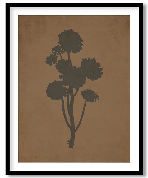 Hand Drawn Sempervivum Arboreum Tree Houseleek Walnut Pressed