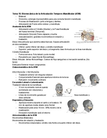 Tema Biomecanica De La Articulacion Temporo Mandibular Atm Pdf