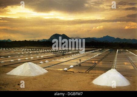 salt pans at Tamil Nadu, India Stock Photo: 55649629 - Alamy