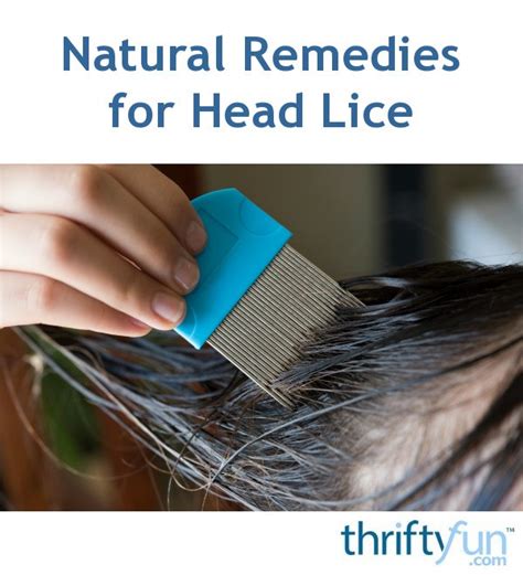 Natural Remedies for Head Lice | ThriftyFun