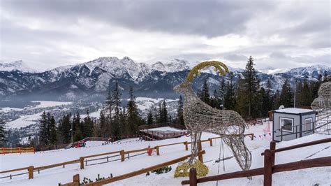 Megfejt V Gtelens G M Lt Zakopane Goblowka Webkamera Falatoz S Szem Ly