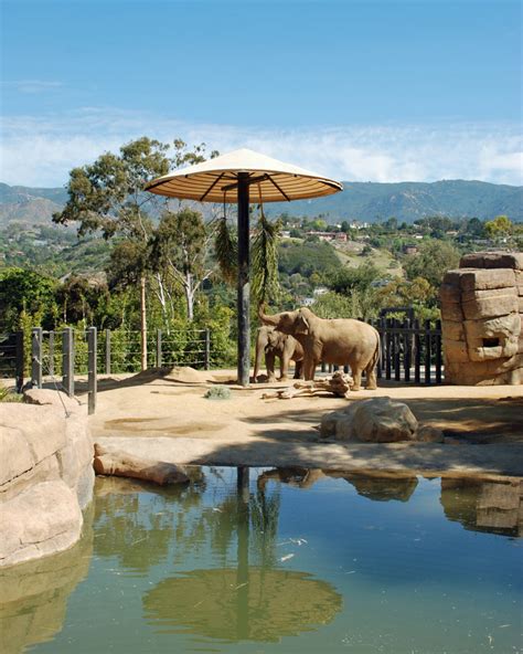 When Fire Threatens The Animals Keeping The Santa Barbara Zoo Safe Kqed