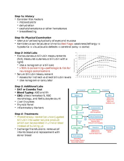 Bilirubin Newborn Handout - Step 1a: History - Consider Risk Factors