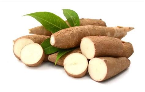 Yuca Que Es Origen Beneficios Tipos Valor Nutricional Y M S