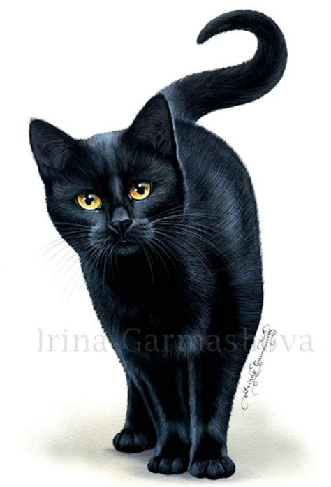 Black Cat Print Amber Eyes by Irina Garmashova | Etsy