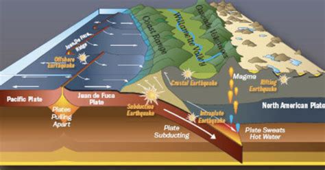 Massive Cascadia earthquake hit NW Coast in January 1700 | News ...