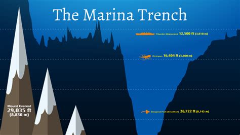 Marianas Trench Depth Chart