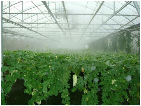 Greenhouse Misting System in Bao An District, Shenzhen | IDEAL SPRAY TECHNOLOGIES LIMITED.