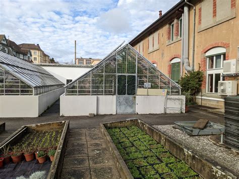 Jardin Botanique Fribourg Swiss Cold Hardy Cactus