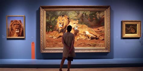 Bordeaux Carton Plein Pour Lexposition Rosa Bonheur Au Musée Des