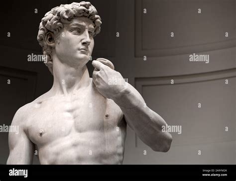 Florence Italy 2019 November 10 The Original David Marble Statue