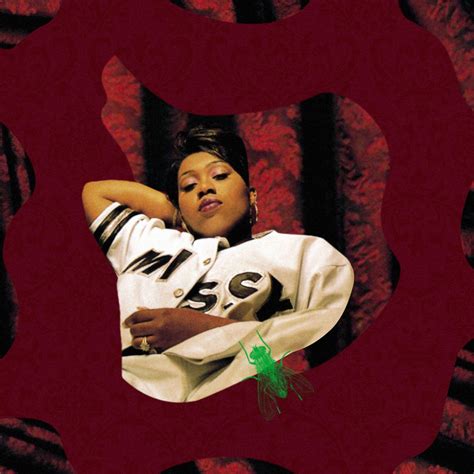 missy elliotts friends  collaborators  supa dupa flys