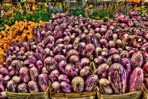 Royal Oak Farmers Market – Michigan | Photographs – City Photos