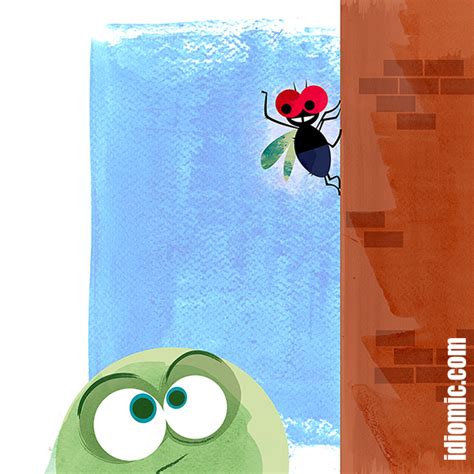 'Fly on the wall' at Idiomic.com: illustration, definition, example ...