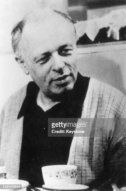 719 Andrei Sakharov Photos & High Res Pictures - Getty Images