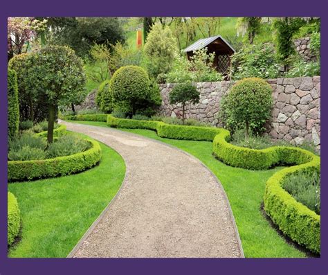 Alternatives To Box Hedges For Shady Gardens Planting Design