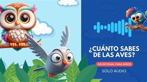 Devocional para niños Cuánto sabes de las aves YouTube