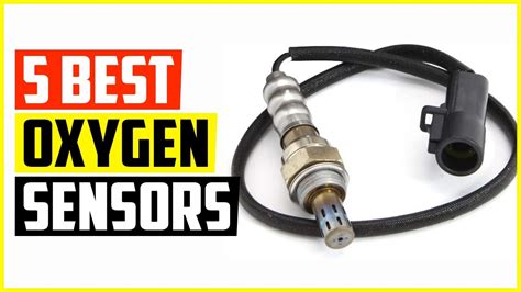 The 5 Best Oxygen Sensors Reviews And Buying Guide Youtube