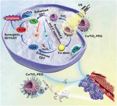 Single Atom Doped Nanosonosensitizers For Mutually Optimized Sono Chemo