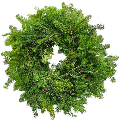 20" Fresh Plain Balsam Fir Wreath | Van Putte Gardens