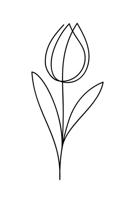 Tulip Drawing In Single Continuous Line Art Style Hand Drawn Contour