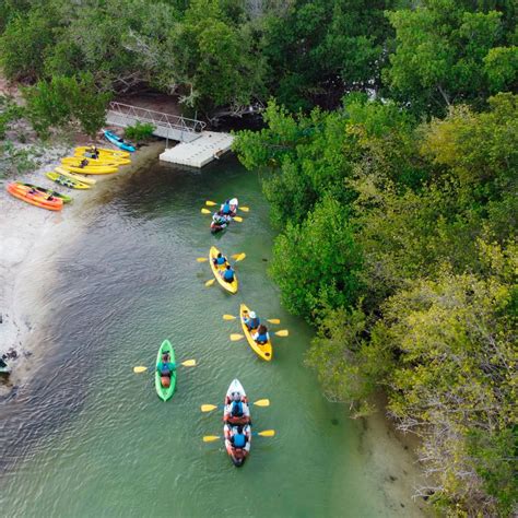 Off The Beaten Path Tour At El Yunque Rainforest And Kayak Bio Bay Combo Natural Wonders