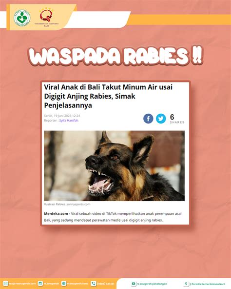 Waspada Gigitan Hewan Rabies RS Anugerah Pekalongan