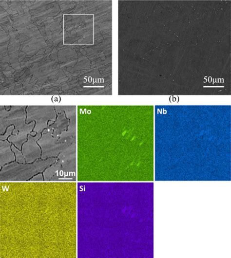 Microstructure Of Laser Powder Bed Fused Inconel 718 Specimens With Download Scientific Diagram