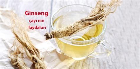 Ginseng Nedir Nas L Kullan L R Ay Ve Ya N N Faydalar Nelerdir